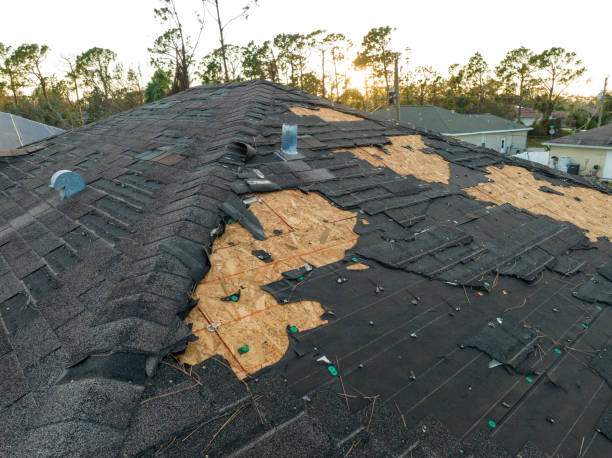 Best Hot Roofs  in Niles, OH