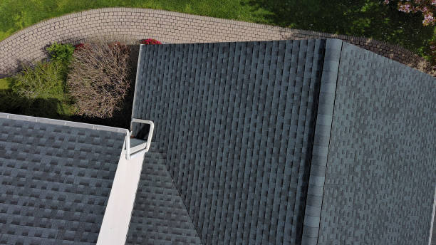 Best Asphalt Shingle Roofing  in Niles, OH