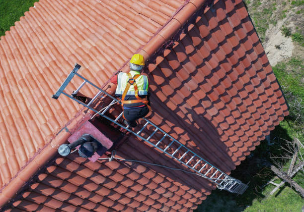 Best Skylight Installation and Repair  in Niles, OH