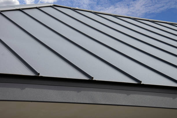 Best Roof Ventilation Installation  in Niles, OH